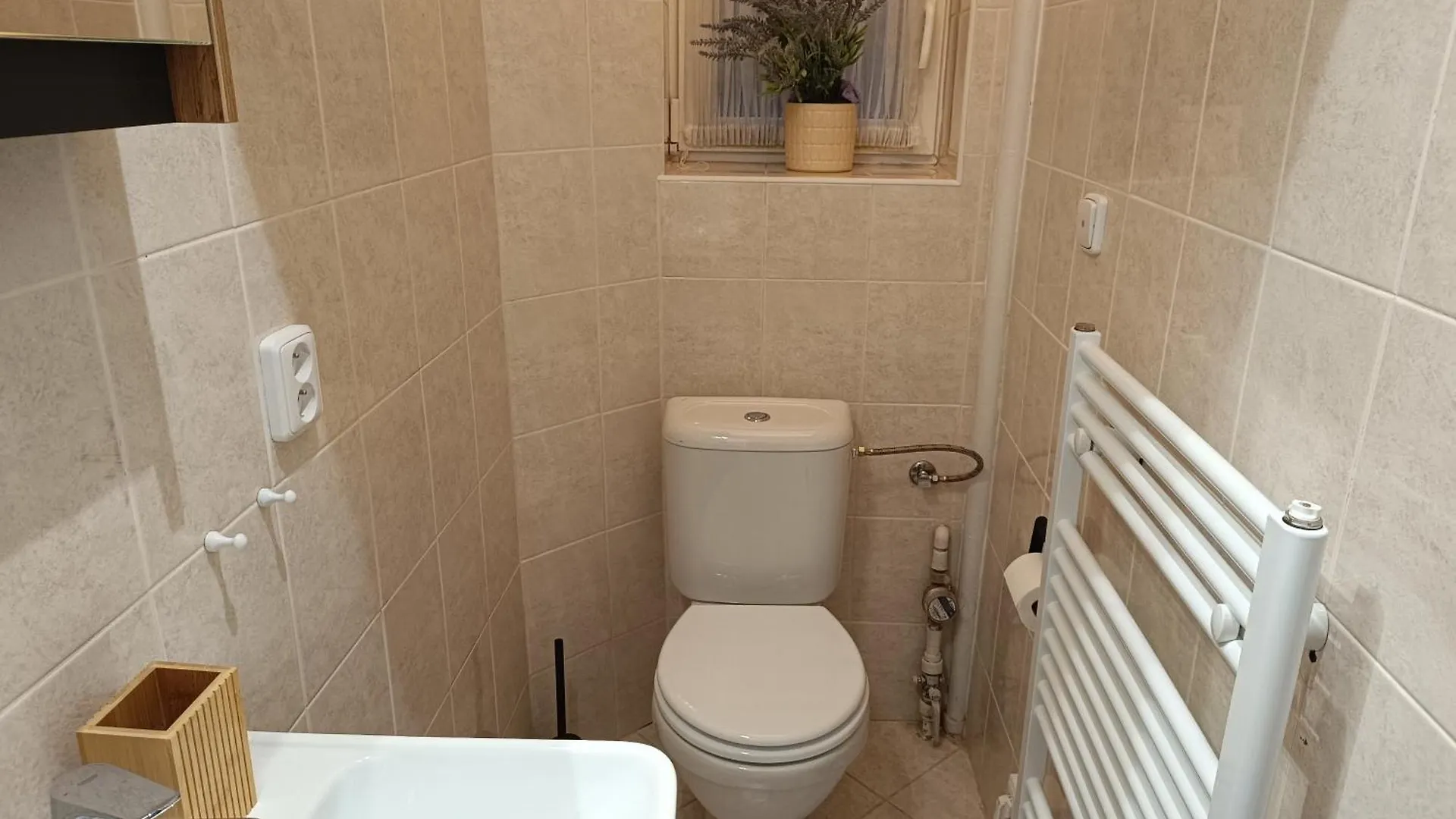 Prague Apartment Janlouis